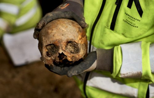 Jezivo otkriće u Danskoj: Više od hiljadu ljudskih skeleta pronađeno ispod trave popularnog šetališta