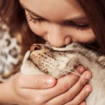 Zašto mačke ne vole poljupce: Nežnost koja može da ih uplaši