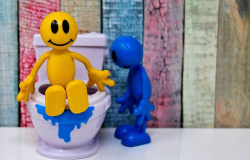 Kamera stiže čak i u WC šolju: Pametni uređaj analizira ono što ostavljate iza sebe, a košta papreno