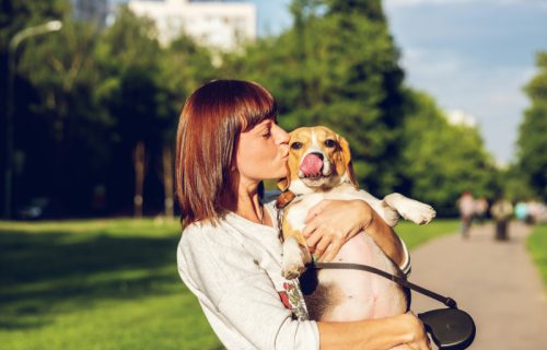 Anketa koja upozorava: Više poljubaca ljubimcu, nego partneru