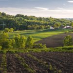 Sada je pravo vreme za pripremu jesenje setve: Jedna greška može ugroziti prinos