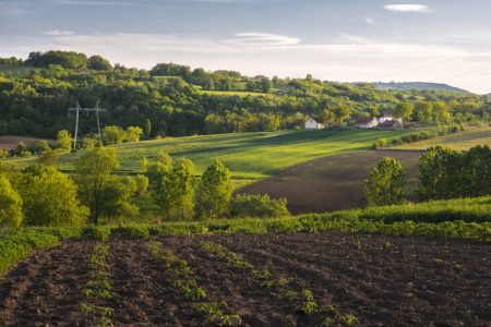 Sada je pravo vreme za pripremu jesenje setve: Jedna greška može ugroziti prinos