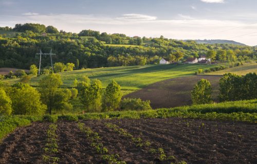 Sada je pravo vreme za pripremu jesenje setve: Jedna greška može ugroziti prinos