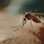 Virus Zapadnog Nila registrovan širom Srbije: Obolelo 60 osoba, poznato gde je najviše slučajeva