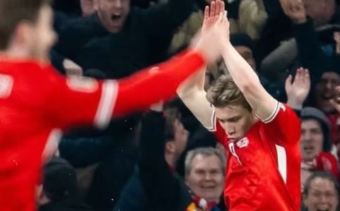 Skandal: Proslava koja je razbesnela Portugalce, a onda… Danac na kraju odgurnuo selektora (VIDEO)
