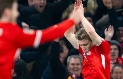 Skandal: Proslava koja je razbesnela Portugalce, a onda... Danac na kraju odgurnuo selektora (VIDEO)
