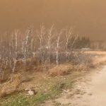 Gori vojna baza u Kanadi: Ima više poginulih i povređenih u teškom incidentu, oglasio se Karni