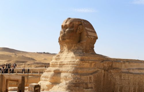 Sfinga krije tajnu evolucije krokodila: Neverovatno otkriće u Gizi