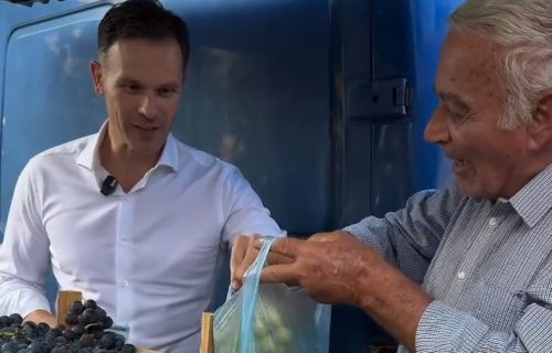 Mali posetio Oplenačku berbu u Topoli: "Tradicija i kultura vinogradarstva odišu na svakom koraku"