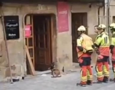 Dvanaest ljudi povređeno kada se urušio bar: Prvo je propao pod, a potom i plafon