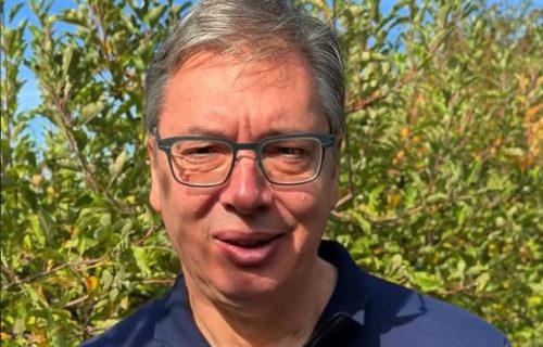 Vučić se oglasio: "Napravili su najvažniji strateški, koalicioni dogovor sa Aljbinom Kurtijem"