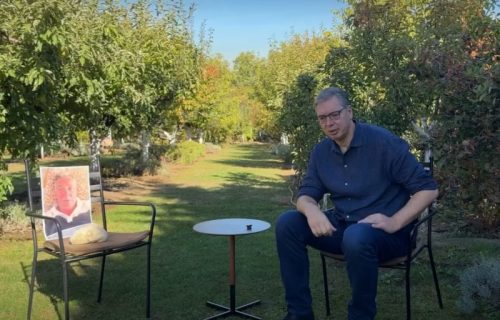 "Dijalog sa kamenom za kupus": Vučić posle brojnih poziva na debatu objavio snimak "rivala" u stolici